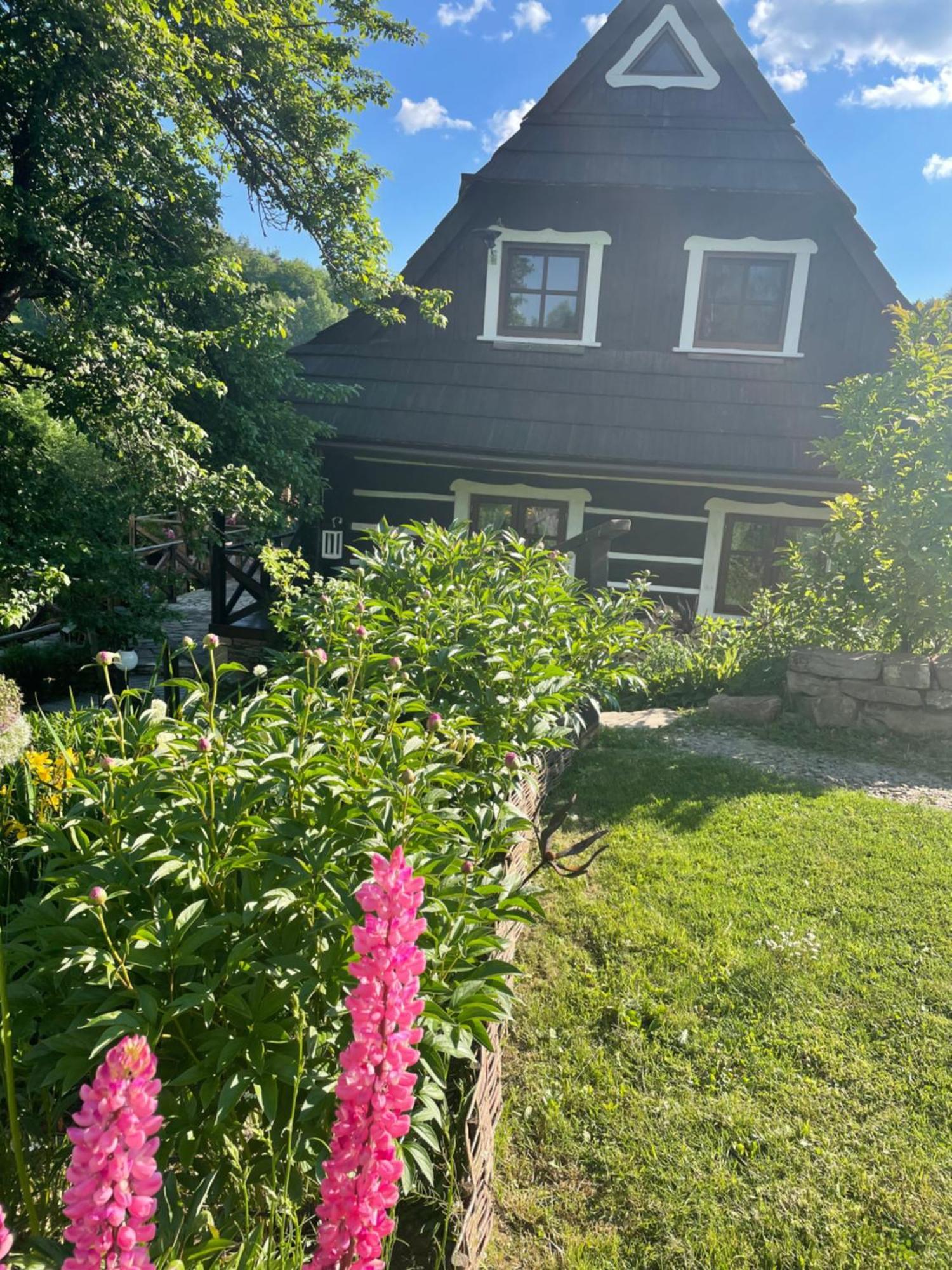 Villa Maciejewka à Zahoczewie Extérieur photo