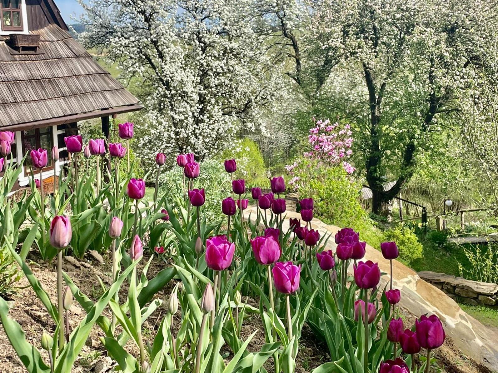 Villa Maciejewka à Zahoczewie Extérieur photo