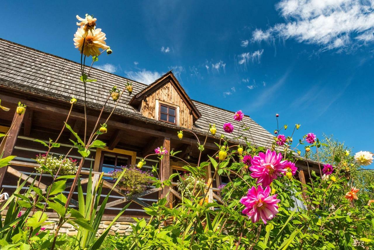 Villa Maciejewka à Zahoczewie Extérieur photo